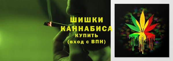 индика Нефтегорск