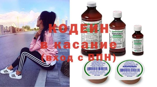 индика Нефтегорск