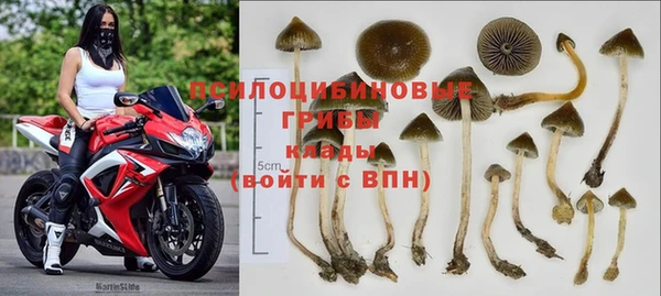 соль ск Нефтекумск