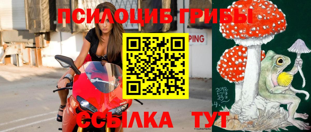 Псилоцибиновые грибы ЛСД Урус-Мартан